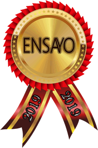2019ENSAYO