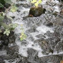 Simplemente respiro