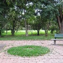 La maldicion de Un Fauno Enamorado
