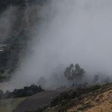 La niebla sobre el pantano