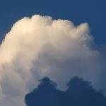 EL SEXO ES LO MÁS IMPORTANTE EN EL MATRIMONIO