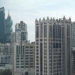 BLACK PINCHER SERIAL.