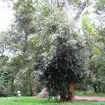 MUSEO DE ARTE ASALTADO.