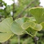 CRISTINA VILLADIEGO.