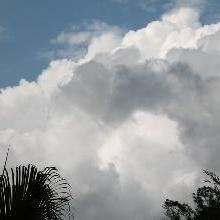 Hoja en blanco